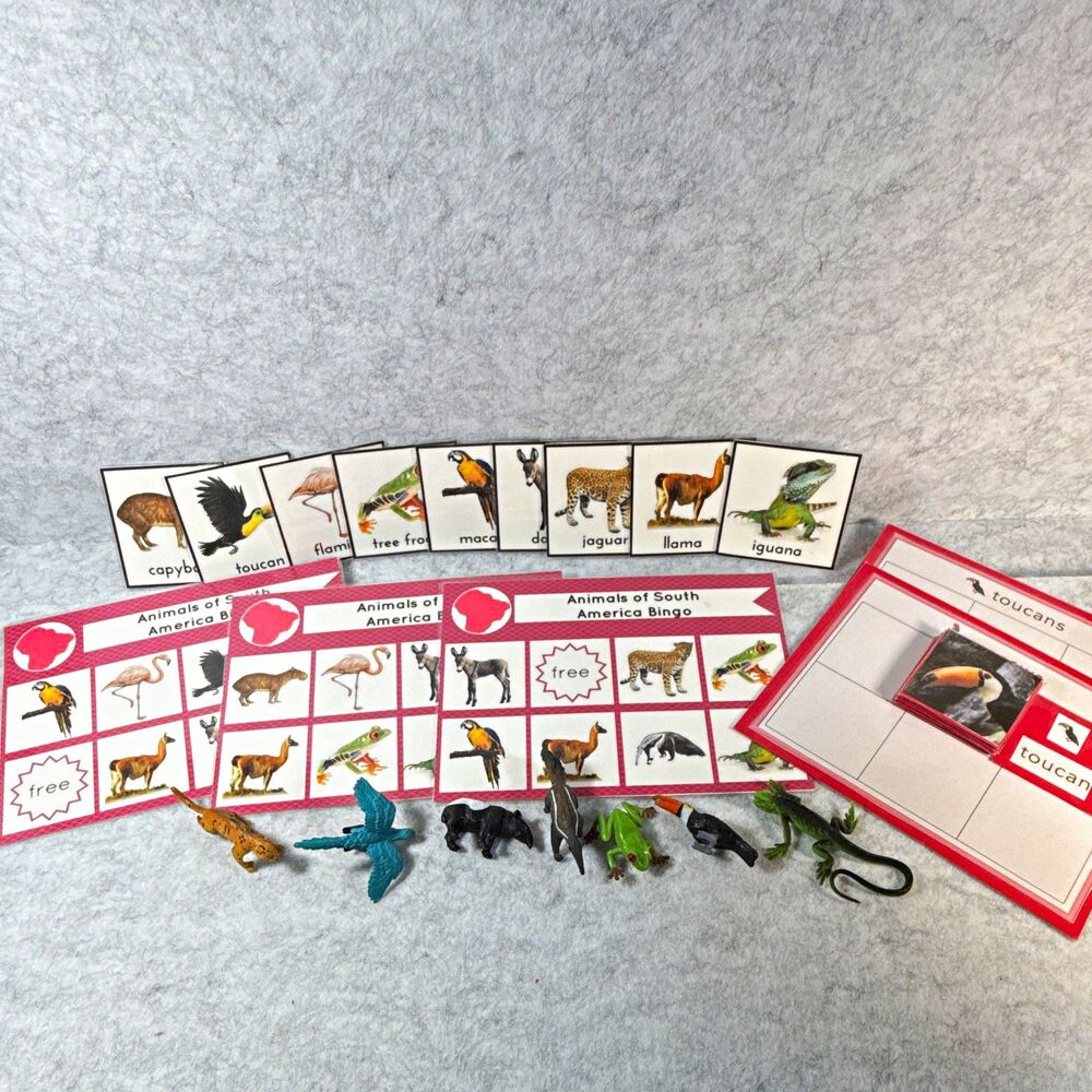 Animals of South America Bingo Educational Game Set w/ Picture Cards & Figures